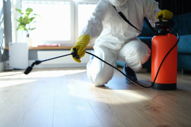 Reliable Blood Cleanup contractor in Dinuba, CA by Trauma Clean Pros